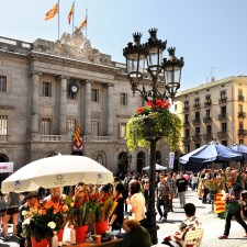 Sant Jordi Calendar