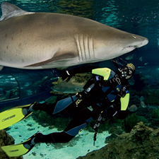 Aquàrium Barcelona