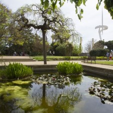 Garden in Montjuic