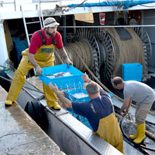 Pescadors de la Barceloneta