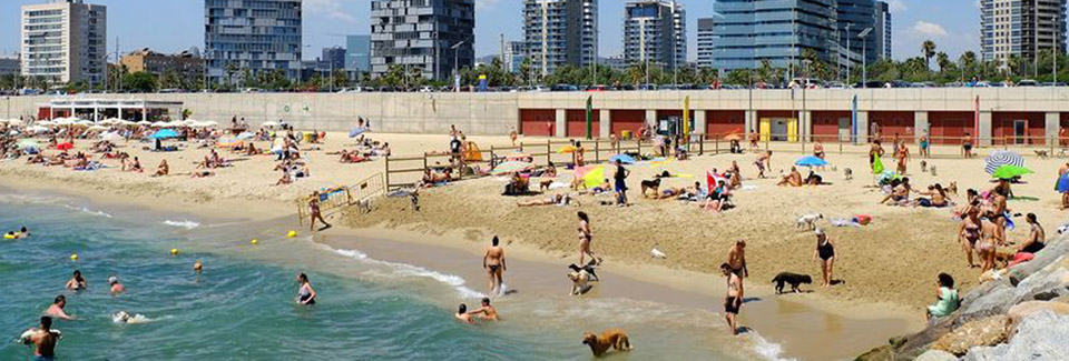 Barcelona's Llevant Beach