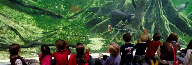 Museu de la Ciència Cosmocaixa Barcelona