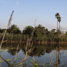 Delta del Llobregat