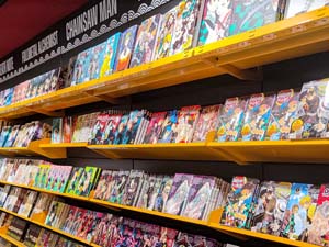 Inside Norma Comics