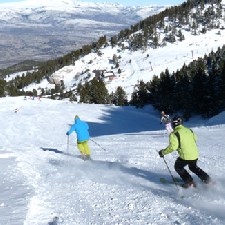 Masella