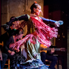 flamenco show at the Palau Dalmases in Barcelona