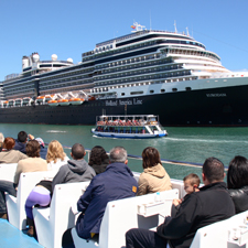 Las Golondrinas tour passing in front of a cruise ship